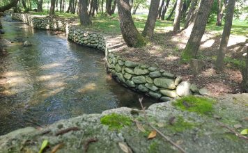 Satul Sănătești în imagini