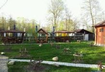 Pensiunea turistică „Irina” – 3 flori